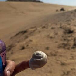 Überall diese Schnecken und richtig schöne 👌