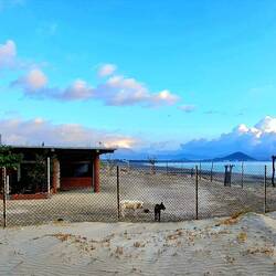 Hundehaus, bewacht von 4 Wuffis