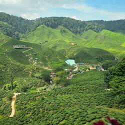 Der Ausblick ist aber schön.