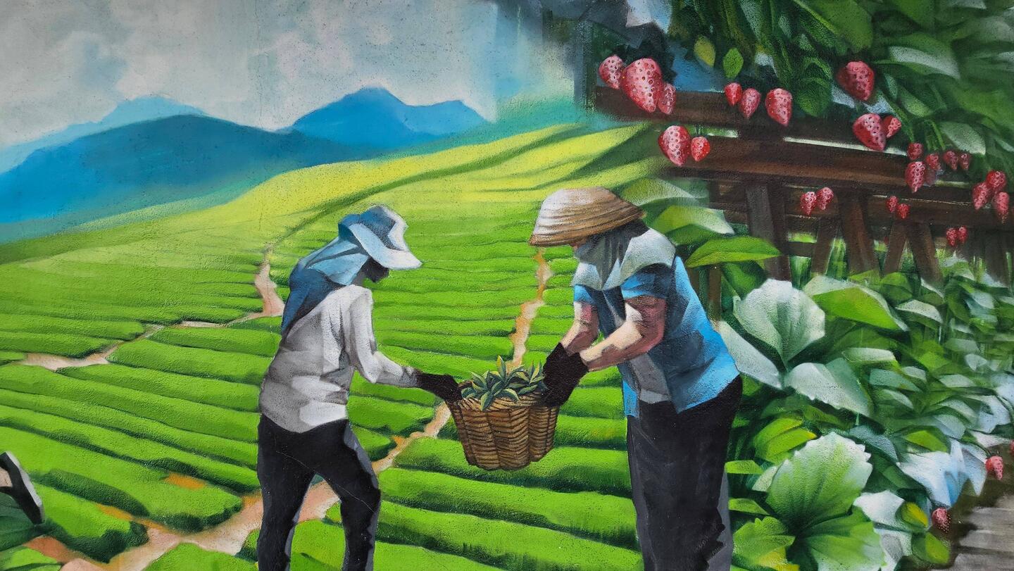 Das sollte das Highlight werden.