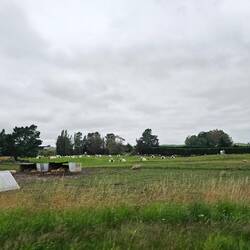 Auch die Schweine haben draußen eigene Schutzhütten!