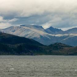 Land ahoy! We're in the Beagle Channel.