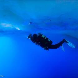 From Becky's "Deep Weddell Sea Scuba Diving & Snorkeling" presentation.