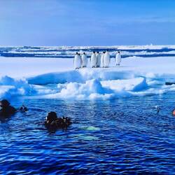 From Becky's "Deep Weddell Sea Scuba Diving & Snorkeling" presentation.