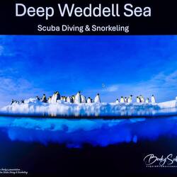 Title slide from Becky Kagan-Schott's presentation about the diving activities.