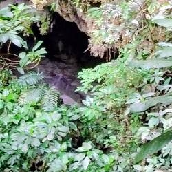 ... the cave's entrance 🫣