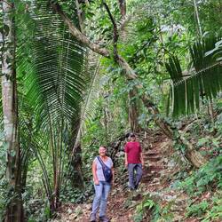 Durch den Dschungel ...