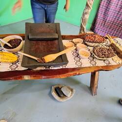 Kakaobohnen, fermentiert und getrocknet, und ein Mahlstein ...