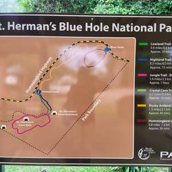 Hier picken wir uns natürlich den anspruchsvollsten Jungle Trail raus ... immerhin eine Stunde 😁