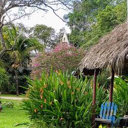 ... blütenreich und einladend 🪻🌾🌷