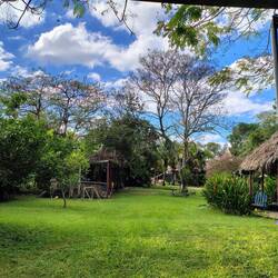 Unser frischer grüner Standplatz ...