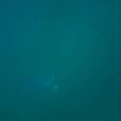 Gsesch öpis? Ig o nid😭