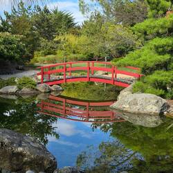 Japanese Garden