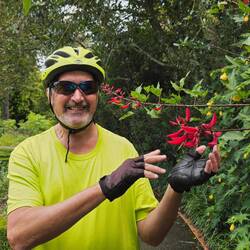 Queen's Gardens - we love the color of the flowers on this tree
