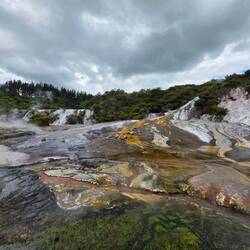 Orakei Koraku Geothermalpark