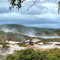 Parc géothermique de Wai-O-Tapu