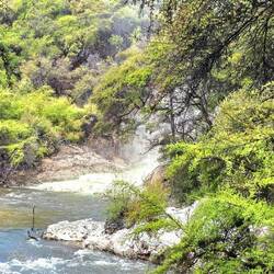 Les sources chaudes du ruisseau Waiotapu