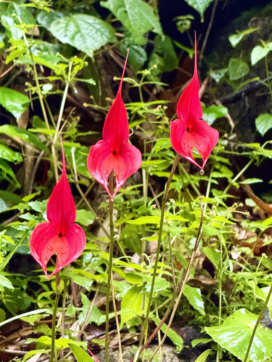 Ok, mit Hilfe gefunden...