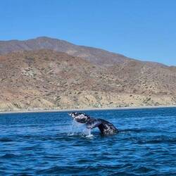 Danke für das Bild, Berthold!👍