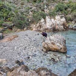 Jetzt bloss nicht ins Wasser fallen...