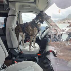 Kaum ist Alex draussen, wird die "Chef-Position" erobert.