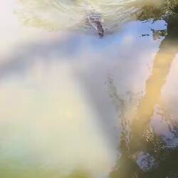 Begrüßung am Strandeingang