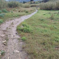 Bei diesem Regenwetter will das warme Bad verdient sein ...