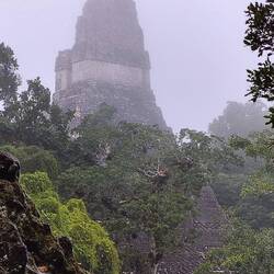 ... wir kommen näher ...