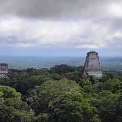 Aber das allerbeste ist der Blick von der höchsten Pyramide ... über den Regenwald ...