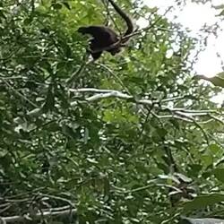 ... zum Glück nicht direkt über uns 🤣