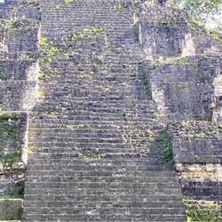 ... gibt nämlich ganz schön viele.