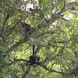 ... beim Frühstück ...