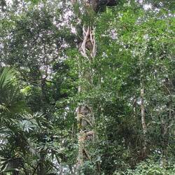 ... und weiter geht's.