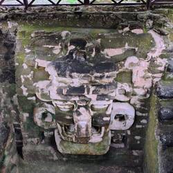 In der Anlage entdecken wir überraschende Details.