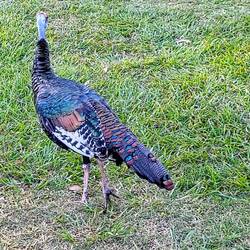 ... so schön bunt hier 🤩