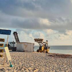 Seegras einsammeln 😄🙈