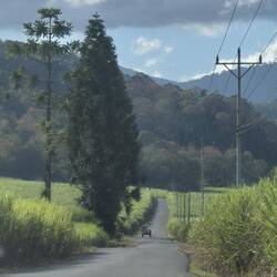 Vorbei an Zuckerrohrfeldern