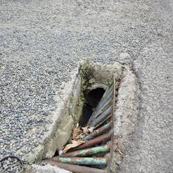 Man sollte immer schauen wo man läuft