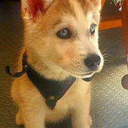 Der war ja sooo schnusig, 3 Mt alt