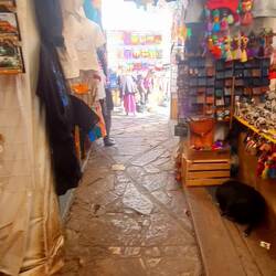 Märt mitten in der Stadt