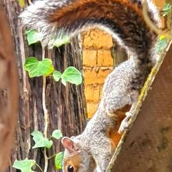 Auf dem Campingplatz gesehen