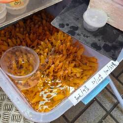 Frösche, die wohl Lebendfutter sind 😭😭