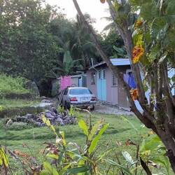 De buren werden ook wakker van de hanen, dus besloten om 6 uur maar de karaoke aan te jakkeren