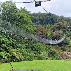 Buller Gorge Swing Bridge