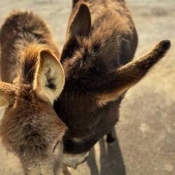 So goldig die 2 ❤️