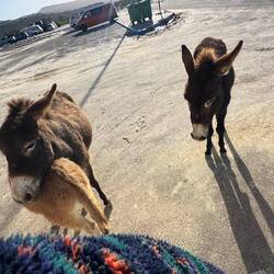 Mit einem Jungen 🥰