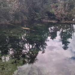 Tanzender Sand in der Quelle