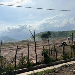 Farm lands on the way home