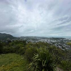 Inklusive schöner Aussicht über Nelson...