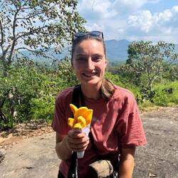 Eine Tüte mit frischen Mango Pommes 😀